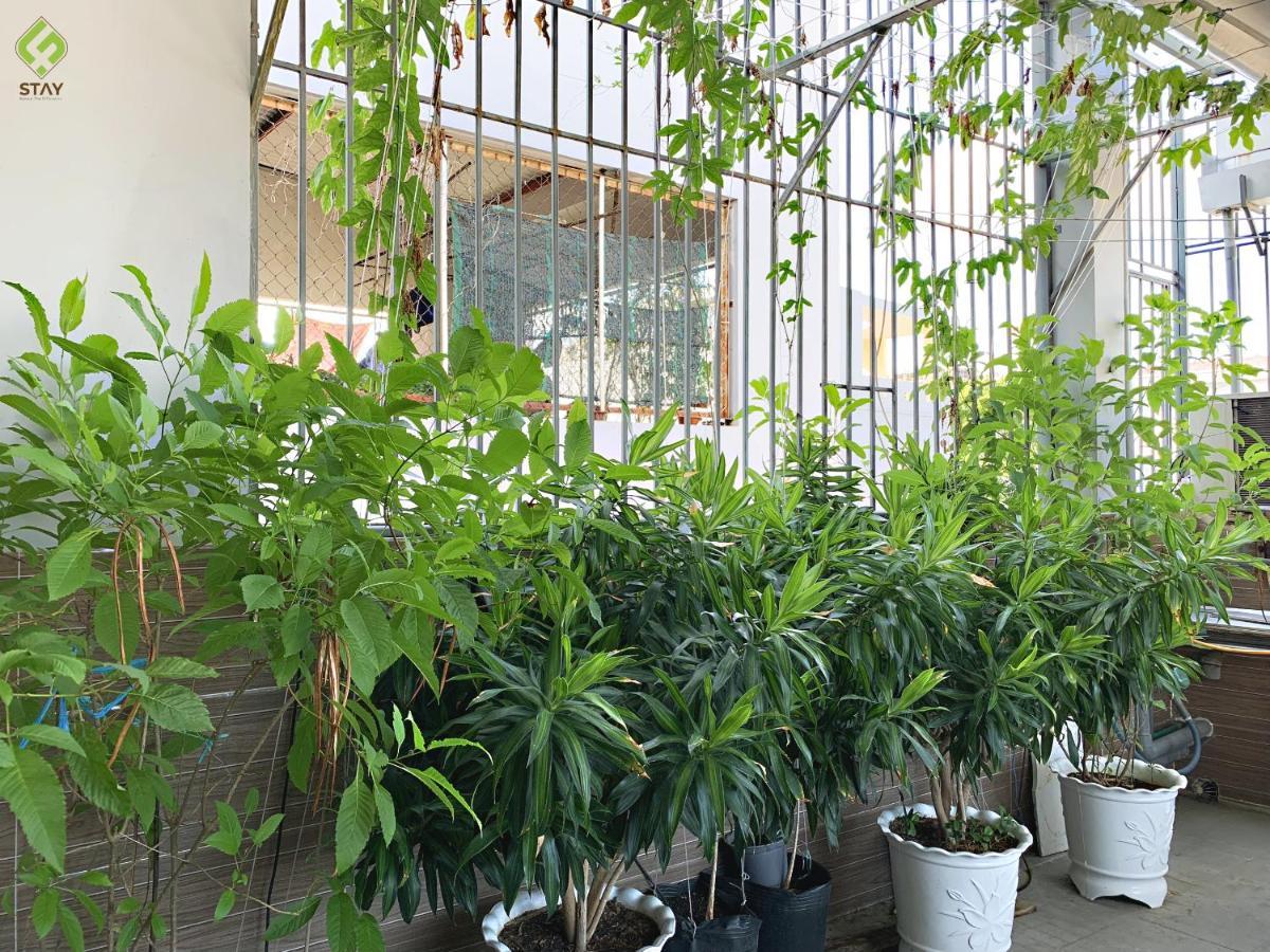 Fstay - Cozy And Peaceful Homestay Дананг Екстериор снимка